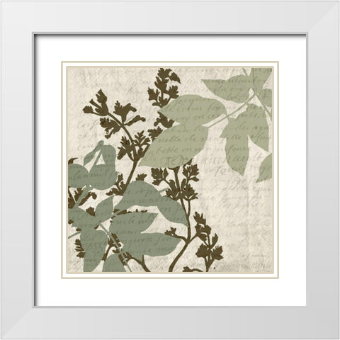 Sage 4 White Modern Wood Framed Art Print with Double Matting by Kimberly, Allen