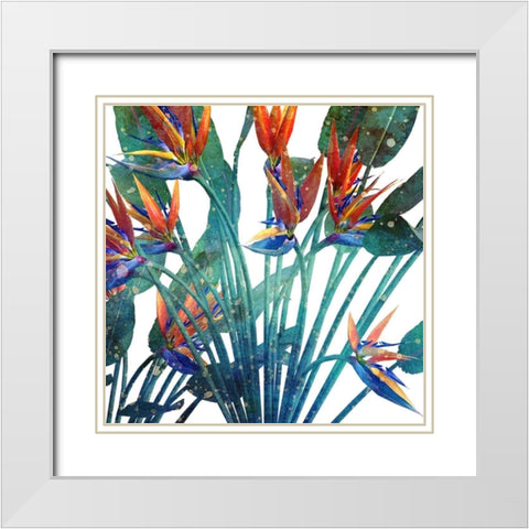 Tropic Flower 1 White Modern Wood Framed Art Print with Double Matting by Kimberly, Allen