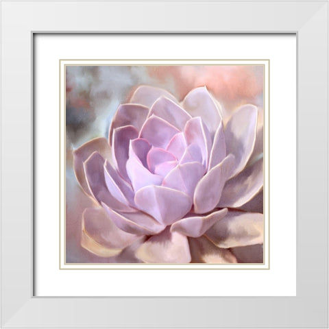 Painted Succulent 1 White Modern Wood Framed Art Print with Double Matting by Kimberly, Allen