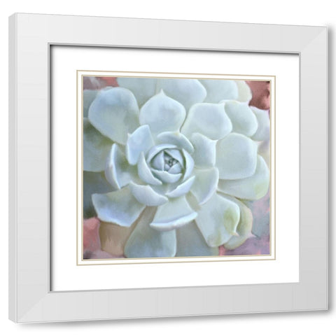 Painted Succulent 2 White Modern Wood Framed Art Print with Double Matting by Kimberly, Allen