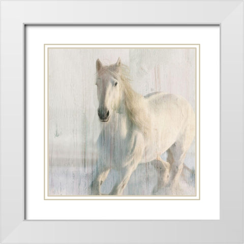 Snow White White Modern Wood Framed Art Print with Double Matting by Kimberly, Allen