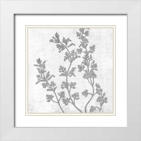 Branches 2 White Modern Wood Framed Art Print with Double Matting by Kimberly, Allen