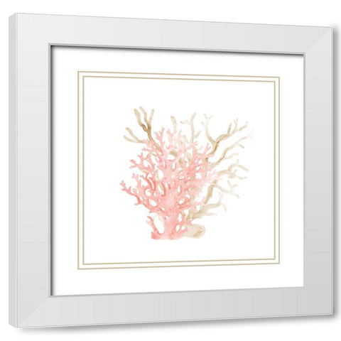 Coral Cove 3 White Modern Wood Framed Art Print with Double Matting by Kimberly, Allen