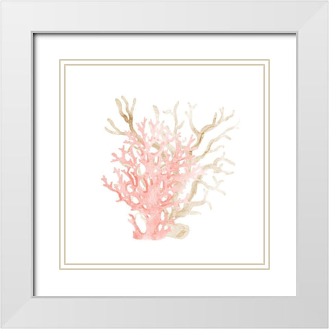 Coral Cove 3 White Modern Wood Framed Art Print with Double Matting by Kimberly, Allen