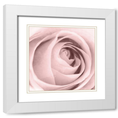 Rose Center 2 White Modern Wood Framed Art Print with Double Matting by Kimberly, Allen
