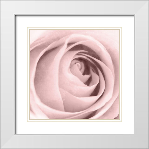Rose Center 2 White Modern Wood Framed Art Print with Double Matting by Kimberly, Allen