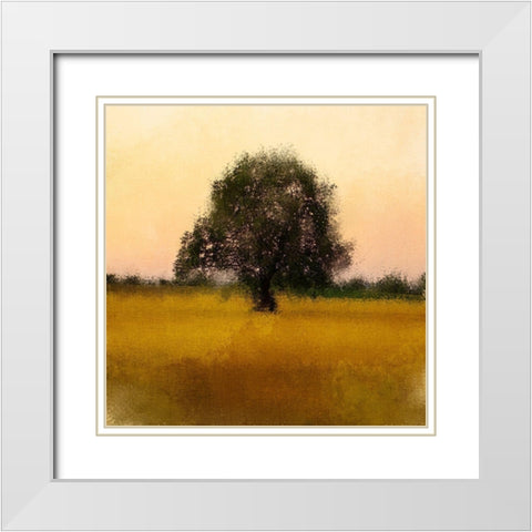 Evening Sky White Modern Wood Framed Art Print with Double Matting by Kimberly, Allen