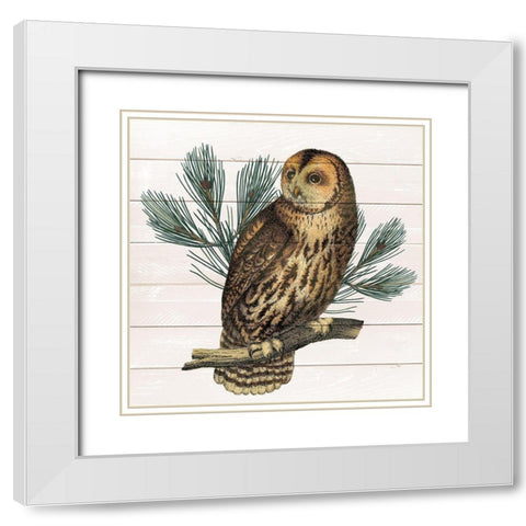 Owl 1 White Modern Wood Framed Art Print with Double Matting by Kimberly, Allen