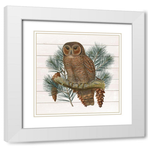 Owl 2 White Modern Wood Framed Art Print with Double Matting by Kimberly, Allen