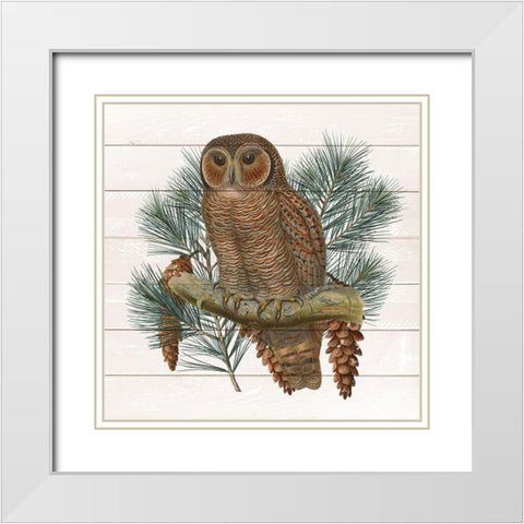 Owl 2 White Modern Wood Framed Art Print with Double Matting by Kimberly, Allen