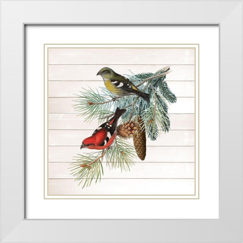 Winter Bird 2 White Modern Wood Framed Art Print with Double Matting by Kimberly, Allen