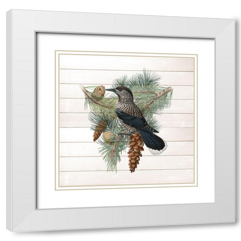 Winter Bird 3 White Modern Wood Framed Art Print with Double Matting by Kimberly, Allen