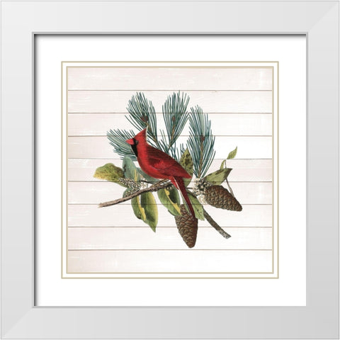 Winter Bird 4 White Modern Wood Framed Art Print with Double Matting by Kimberly, Allen
