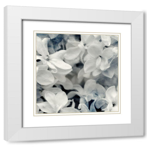 Lilac Blooms 2 White Modern Wood Framed Art Print with Double Matting by Kimberly, Allen