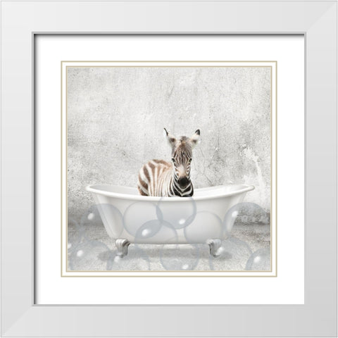 Baby Zebra Bath White Modern Wood Framed Art Print with Double Matting by Kimberly, Allen