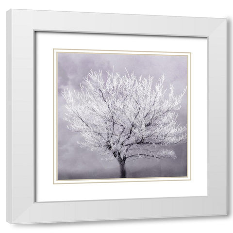 Frosted Tree White Modern Wood Framed Art Print with Double Matting by Kimberly, Allen