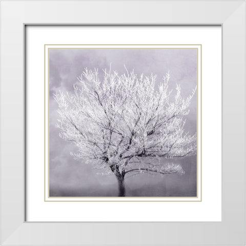 Frosted Tree White Modern Wood Framed Art Print with Double Matting by Kimberly, Allen