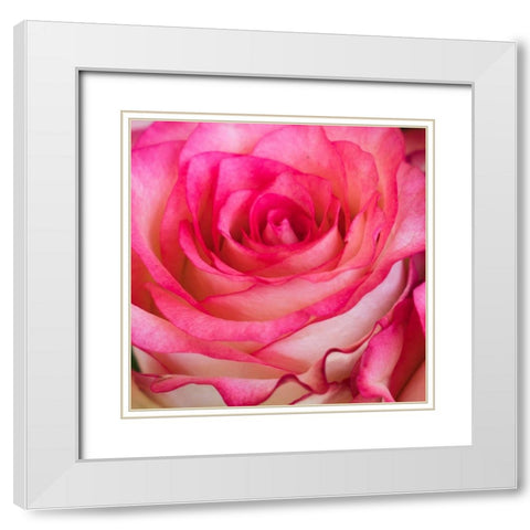 A Good Idea 3 White Modern Wood Framed Art Print with Double Matting by Kimberly, Allen