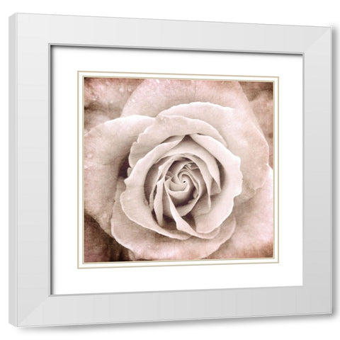 Paris Bistro 2 White Modern Wood Framed Art Print with Double Matting by Allen, Kimberly