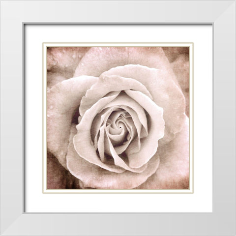 Paris Bistro 2 White Modern Wood Framed Art Print with Double Matting by Allen, Kimberly