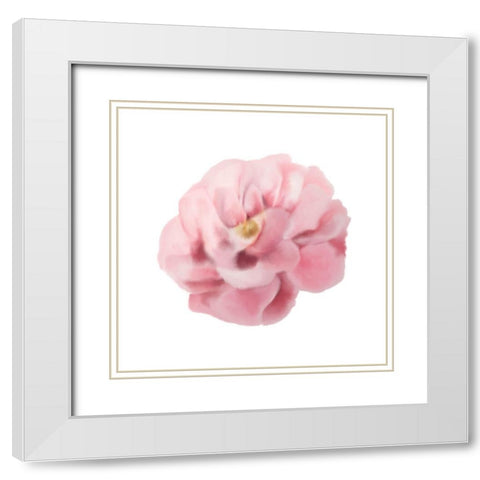 Always Paris 2 v2 White Modern Wood Framed Art Print with Double Matting by Allen, Kimberly