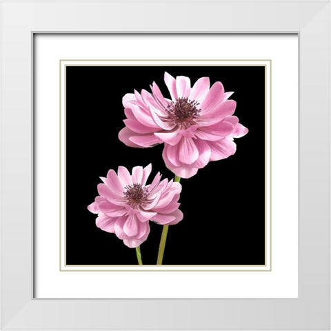 He Heals Blossoms 3 White Modern Wood Framed Art Print with Double Matting by Allen, Kimberly