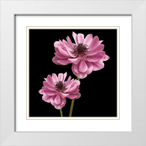 Pink Paris 3 White Modern Wood Framed Art Print with Double Matting by Allen, Kimberly