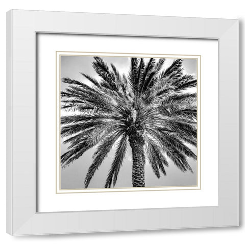 Under the Palm White Modern Wood Framed Art Print with Double Matting by Allen, Kimberly