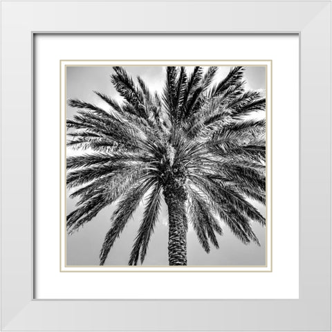 Under the Palm White Modern Wood Framed Art Print with Double Matting by Allen, Kimberly