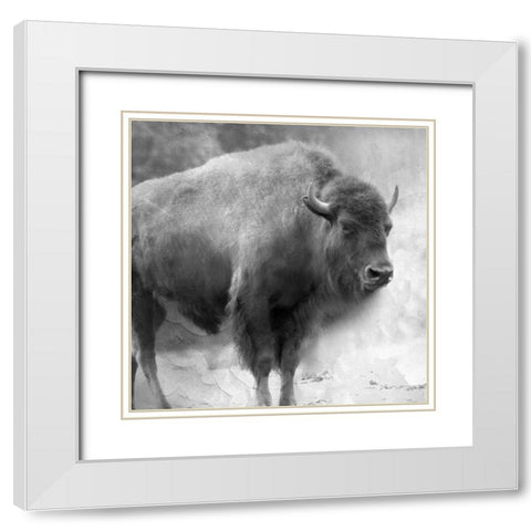King White Modern Wood Framed Art Print with Double Matting by Allen, Kimberly