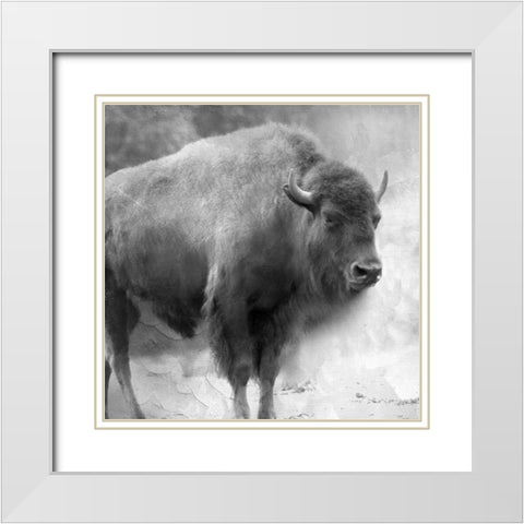 King White Modern Wood Framed Art Print with Double Matting by Allen, Kimberly