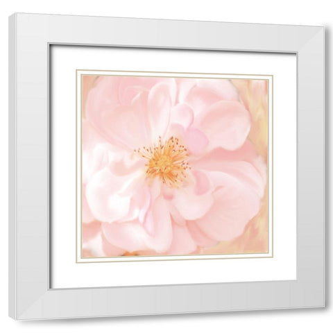 Pretty Pink White Modern Wood Framed Art Print with Double Matting by Allen, Kimberly