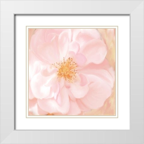 Pretty Pink White Modern Wood Framed Art Print with Double Matting by Allen, Kimberly