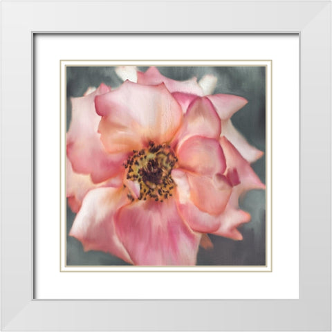 Dusty Rose White Modern Wood Framed Art Print with Double Matting by Allen, Kimberly