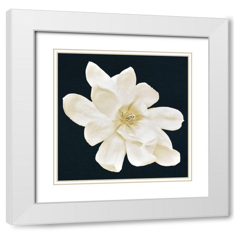 Magnolia 1 White Modern Wood Framed Art Print with Double Matting by Allen, Kimberly