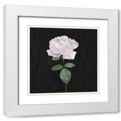 Always Choose 3 White Modern Wood Framed Art Print with Double Matting by Allen, Kimberly
