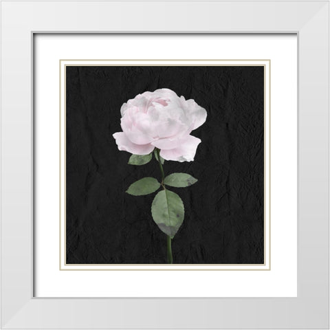 Always Choose 3 White Modern Wood Framed Art Print with Double Matting by Allen, Kimberly