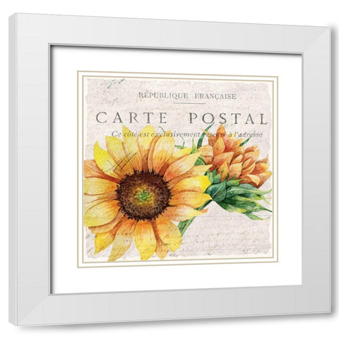 Sunflower Postcard 1 White Modern Wood Framed Art Print with Double Matting by Allen, Kimberly