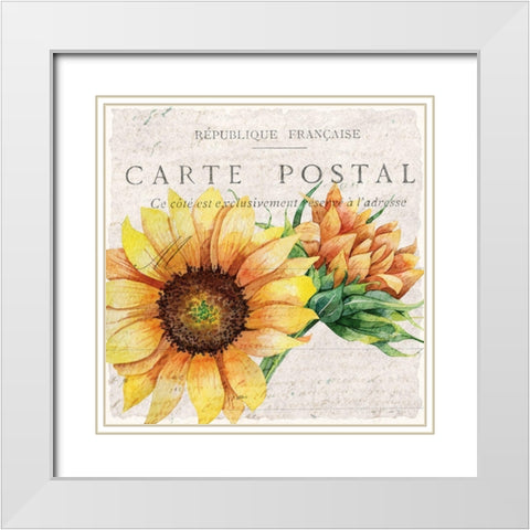 Sunflower Postcard 1 White Modern Wood Framed Art Print with Double Matting by Allen, Kimberly