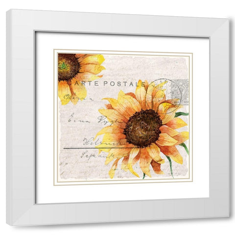 Sunflower Postcard 2 White Modern Wood Framed Art Print with Double Matting by Allen, Kimberly