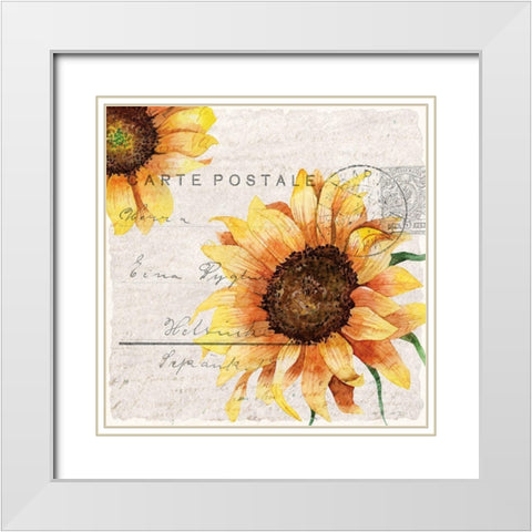 Sunflower Postcard 2 White Modern Wood Framed Art Print with Double Matting by Allen, Kimberly