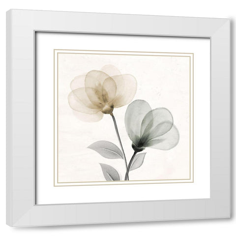 Open Bloom 1 White Modern Wood Framed Art Print with Double Matting by Allen, Kimberly