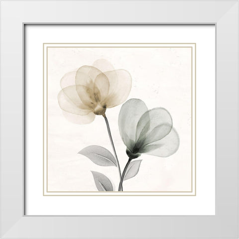 Open Bloom 1 White Modern Wood Framed Art Print with Double Matting by Allen, Kimberly