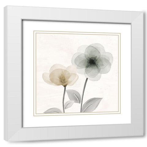 Open Bloom 2 White Modern Wood Framed Art Print with Double Matting by Allen, Kimberly