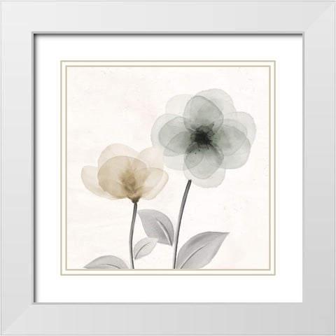 Open Bloom 2 White Modern Wood Framed Art Print with Double Matting by Allen, Kimberly