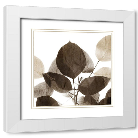 Chocolate Leaves 1 White Modern Wood Framed Art Print with Double Matting by Allen, Kimberly