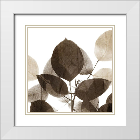 Chocolate Leaves 1 White Modern Wood Framed Art Print with Double Matting by Allen, Kimberly