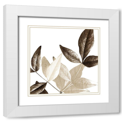 Chocolate Leaves 2 White Modern Wood Framed Art Print with Double Matting by Allen, Kimberly