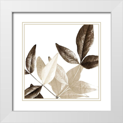 Chocolate Leaves 2 White Modern Wood Framed Art Print with Double Matting by Allen, Kimberly