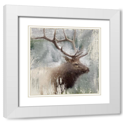 Wildlife 2 White Modern Wood Framed Art Print with Double Matting by Allen, Kimberly